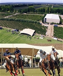 RDLB 2018 Escorihuela Gascon: RDLB 2018 Escorihuela Gascon