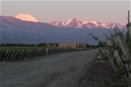 Bodega andeluna: 1