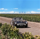 Se pone en marcha la 20ª edición del Rally de las Bodegas: Se pone en marcha la 20ª edición del Rally de las Bodegas